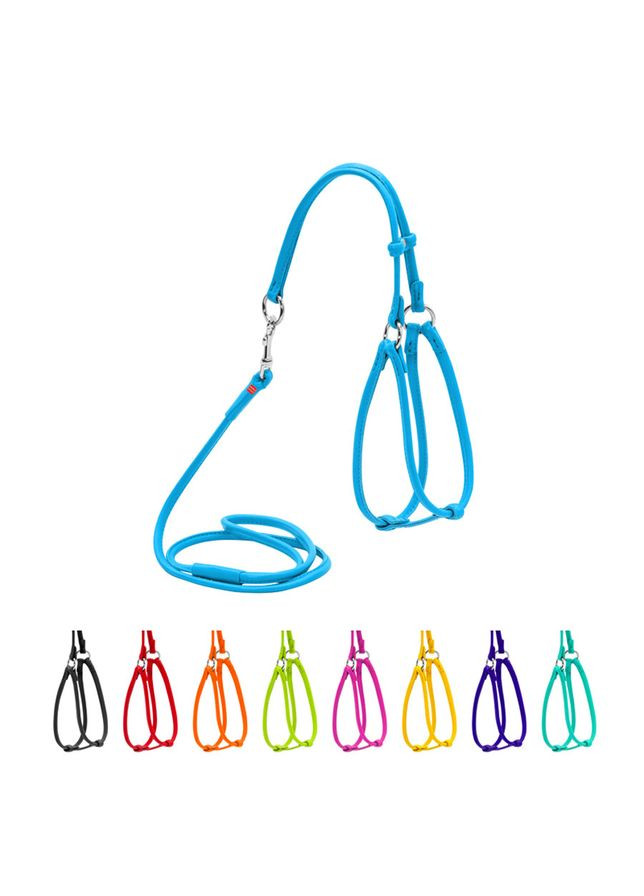 Шлей с поводком для собак кожаный WAUDOG Glamour с QR паспортом, круглый, Д 6 мм, А 42-60 см, В 46-64 см голубой No Brand (363200790)