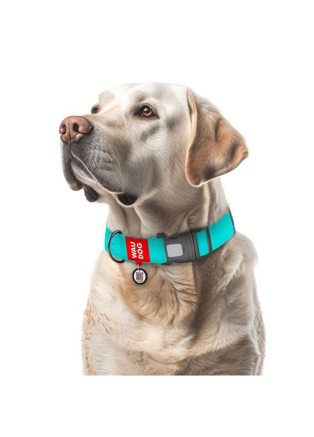 Ошейник для собак водостойкий WAUDOG Waterproof з QR паспортом, світлонакопичувальний, пластиковий фастекс,, Ш 40 мм, Дов Collar (362578323)