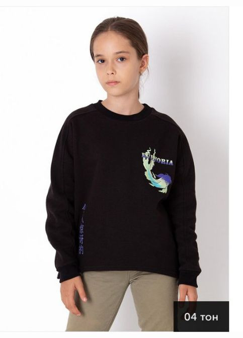 Утеплений світшот для дівчинки Mevis (340052628)