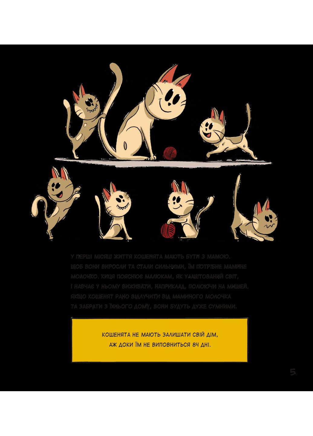 Коти чудові, але... Vivat (370062483)