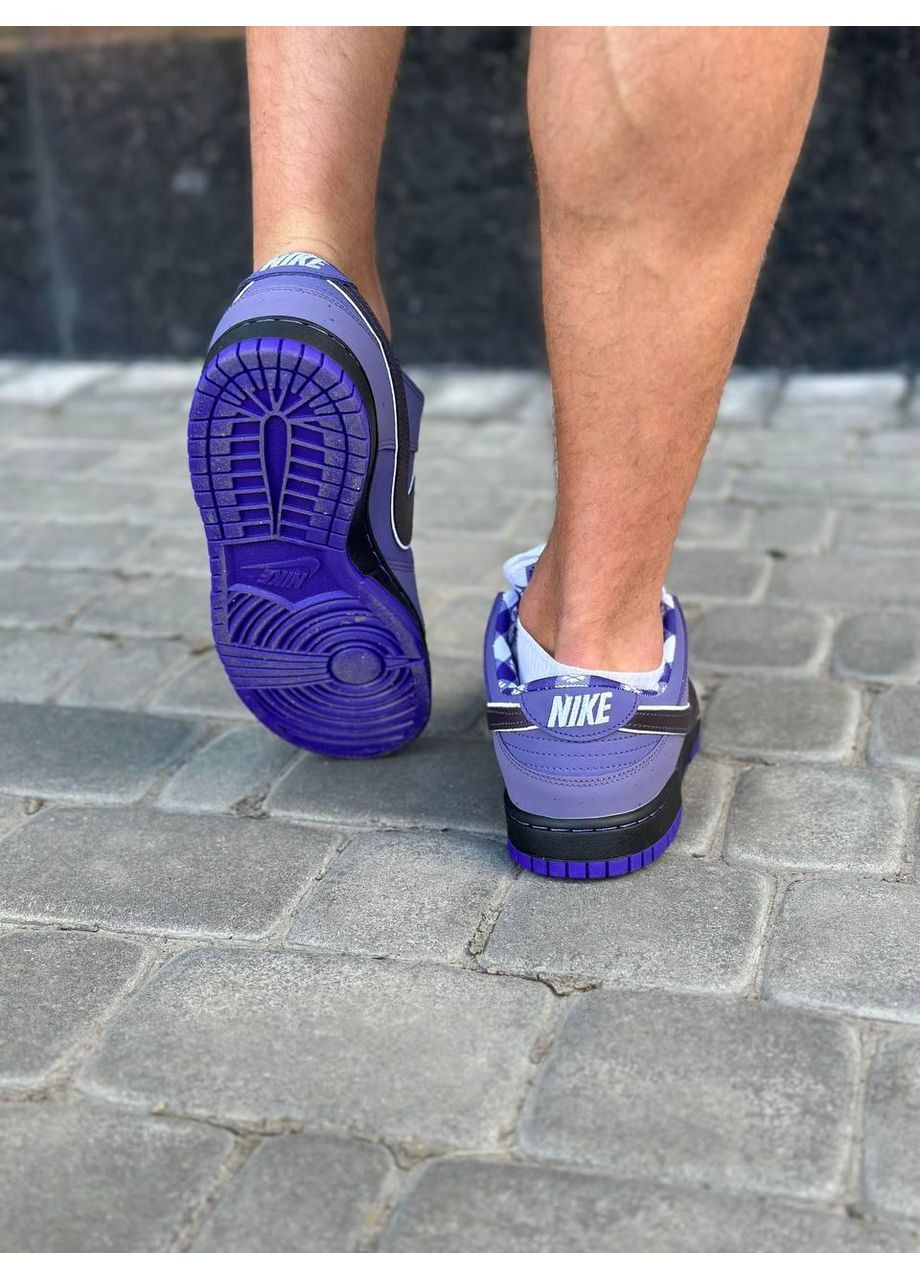 Фіолетові Осінні кросівки чоловічі nike sb dunk low concepts purple lobster найк сб данк No Brand