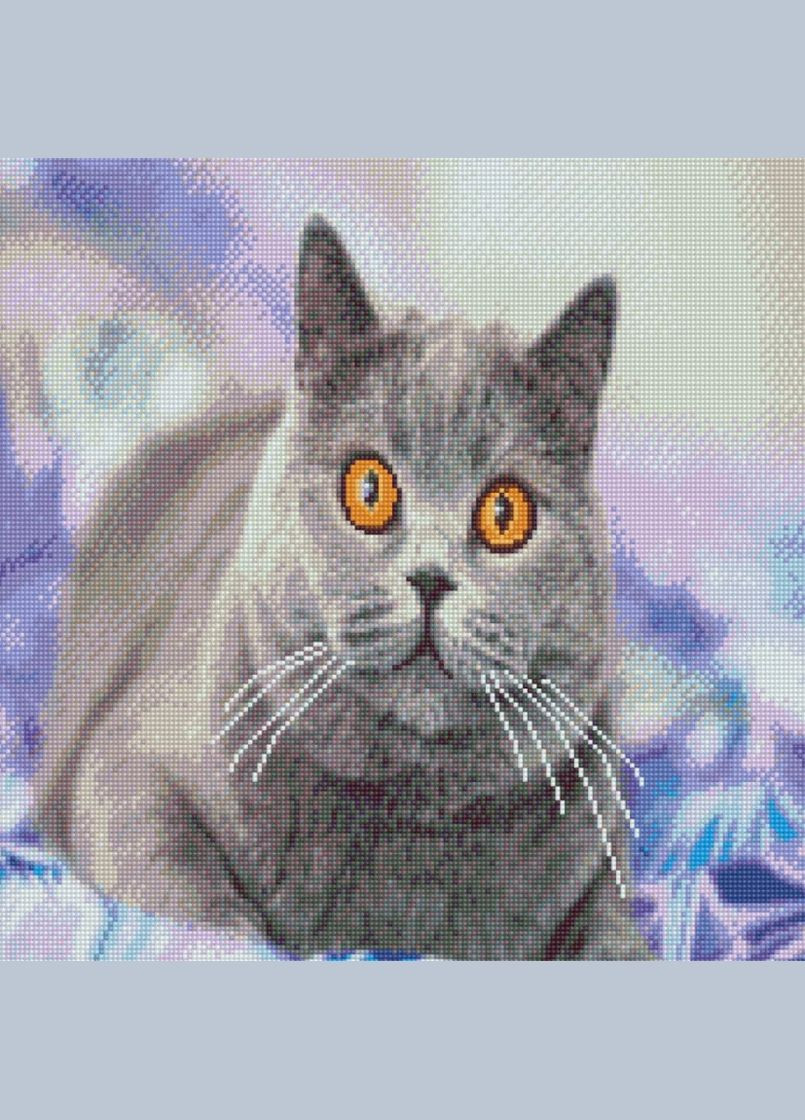 Алмазна картина за номерами Зацікавлений сірий кіт 50х50 см GA0004 ( ) Strateg (328945366)