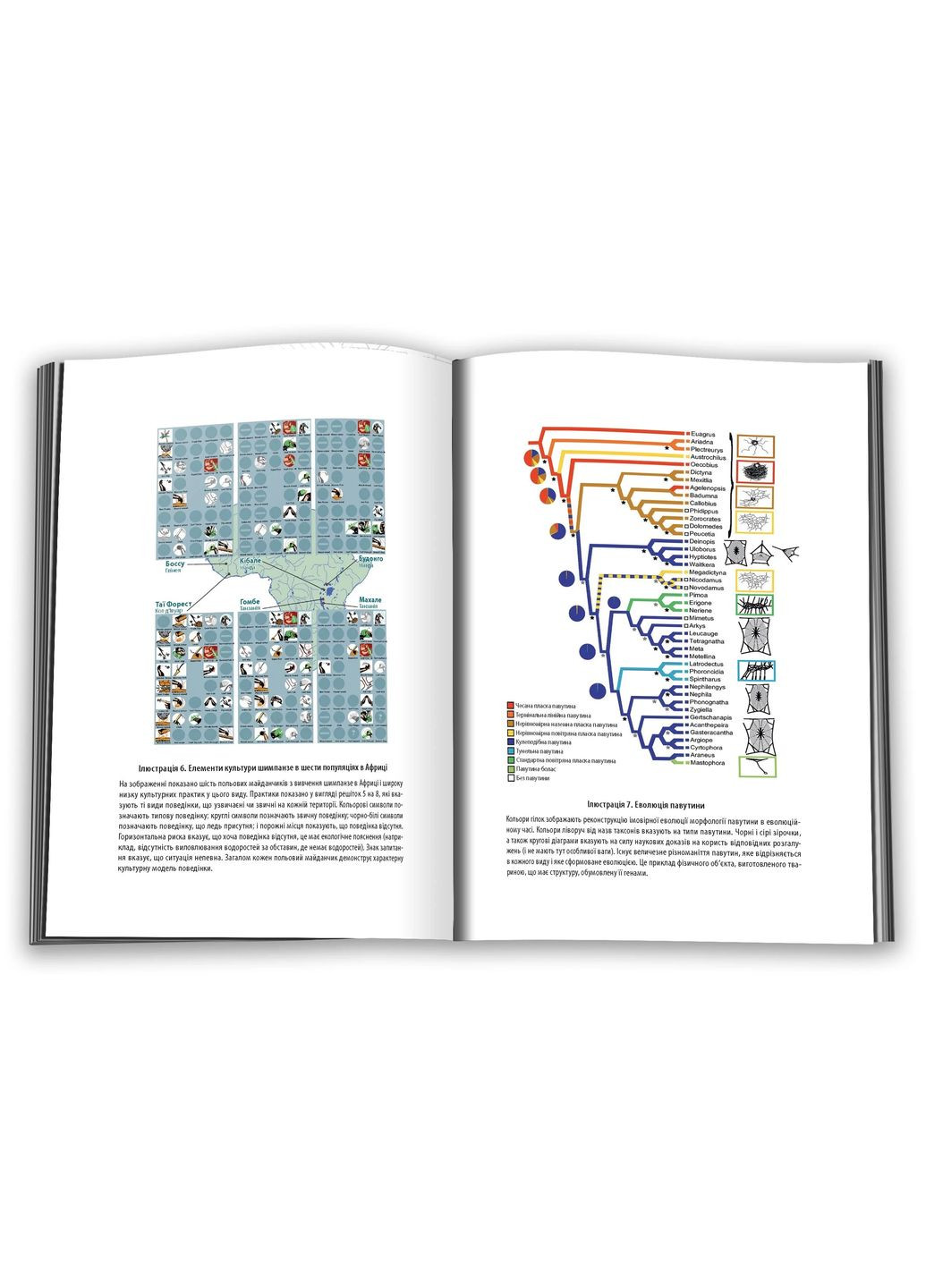 Величний задум. Еволюційні джерела цивілізованого суспільства Stone Publishing (370135221)