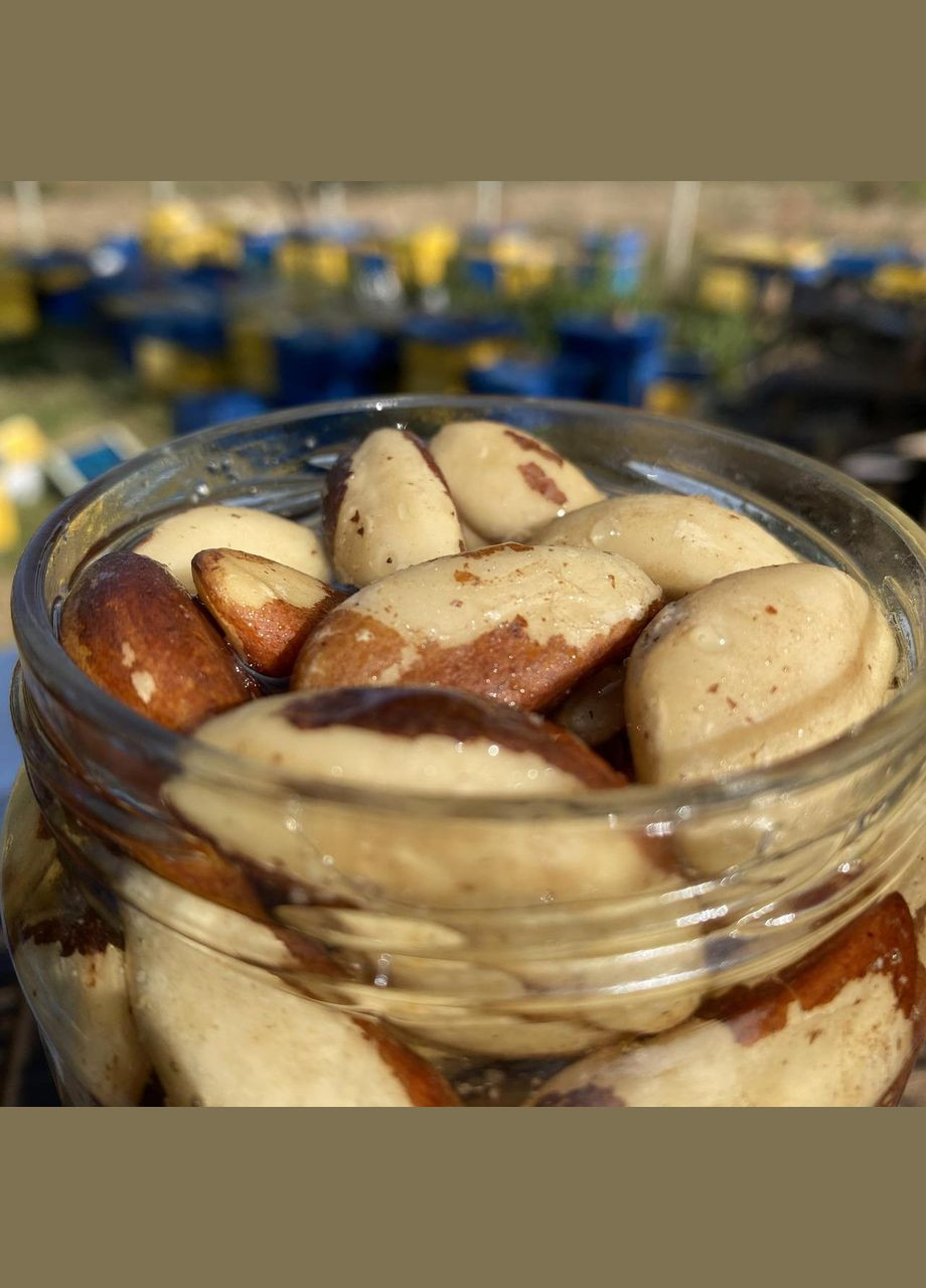 Бразильский орех у меда акации 720 мл (850 грамм) МЕД ПОШТОЮ (322148802)