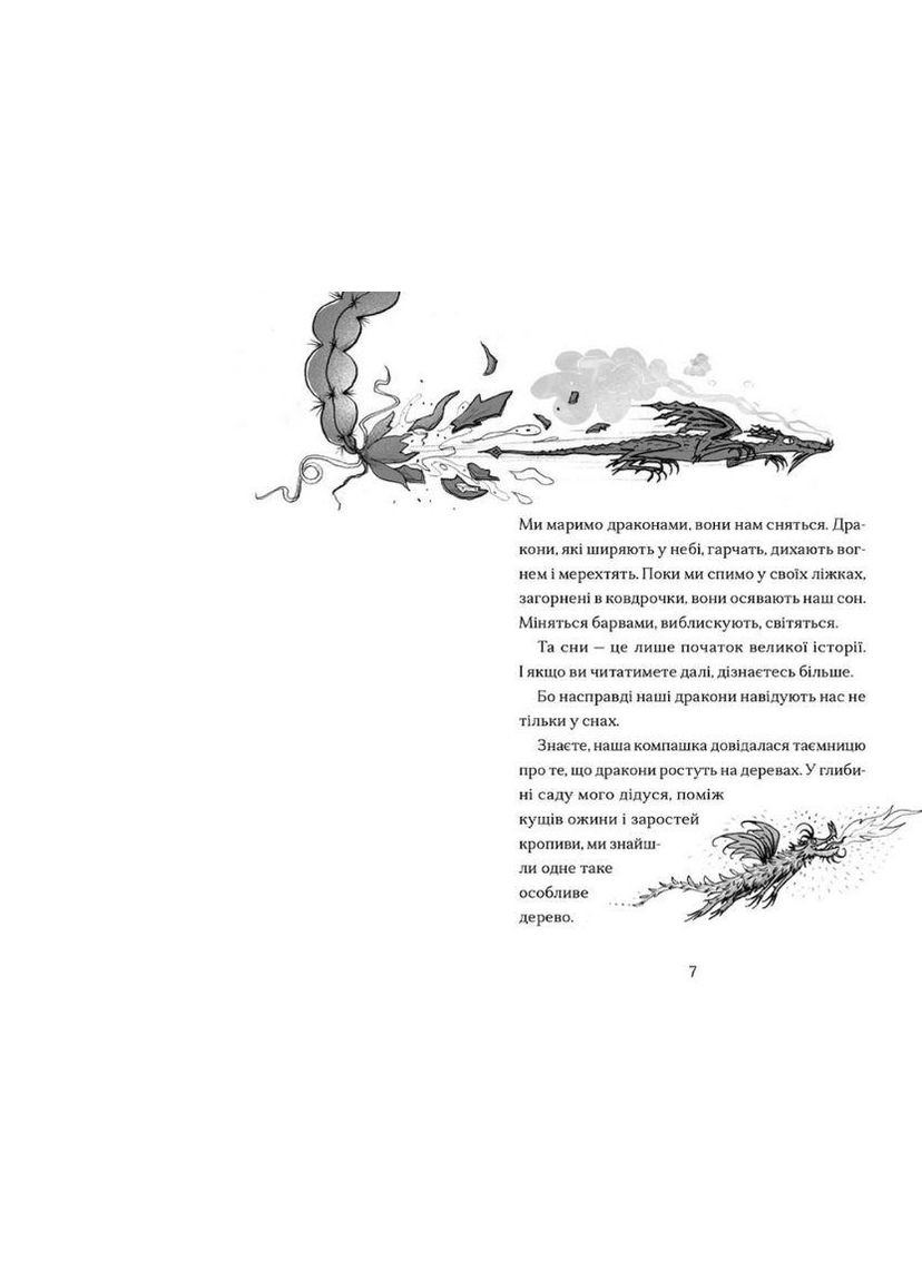 Книга Хлопчик, який марив драконами. Книга 4 Видавництво Старого Лева (273237556)