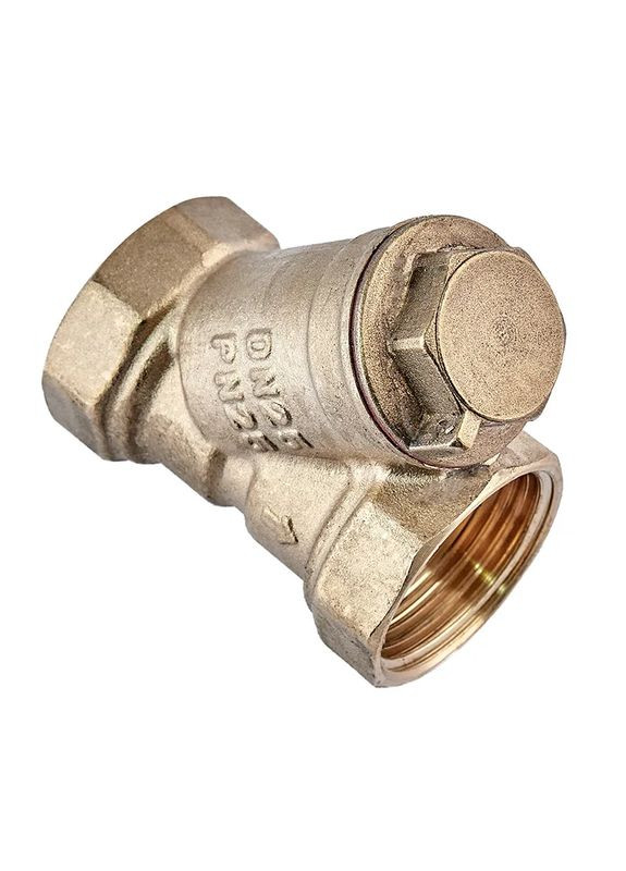 Фільтр грубої очистки з вушком (латунь) WP200-25 - 1" (WP3306) WaterPRO (322074703)