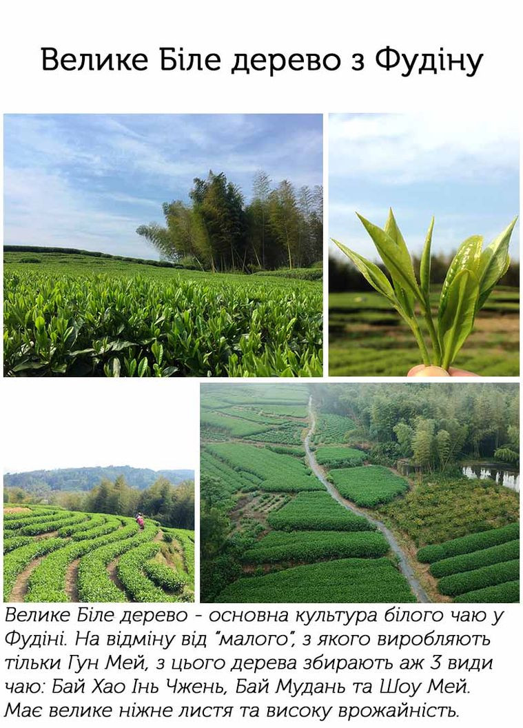 Шоу Мей Лі Да 2020 р. - 350 г No Brand (305196222)