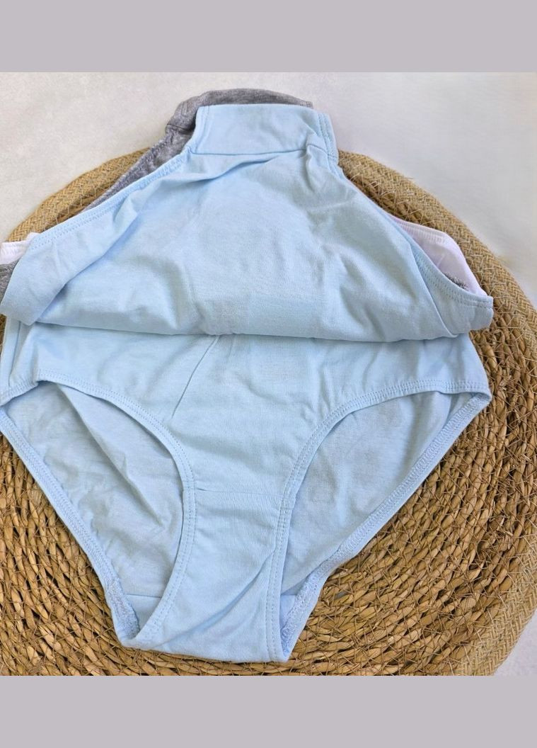 Набір дитячих трусів-сліп 4х ! для дівчаток Pepperts Трусики (341526659)