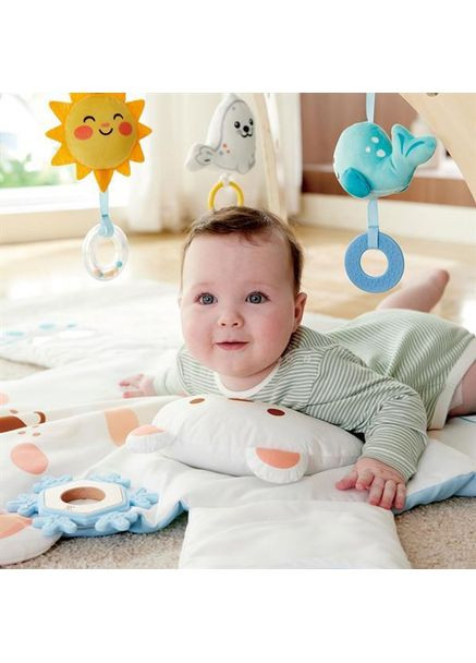 Розвиваючий килимок Полярний ведмедик (E0074) Hape (323094519)