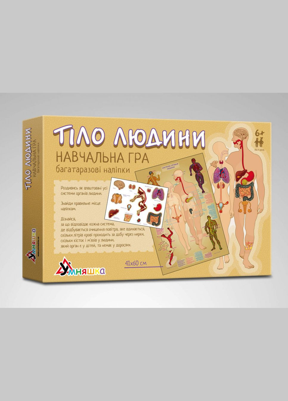 Детская обучающая игра с многоразовыми наклейками "Тело человека" KP-004y на укр. языке УМНЯШКА (334143581)
