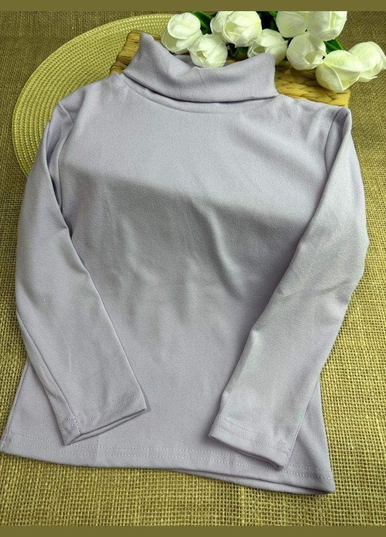 Водолазка-гольф дитячий 10621 No Brand (309151371)