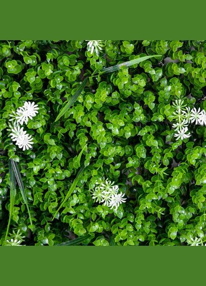 Декоративна панель зі штучної зелені Білий цвіт 40*60 см (9224-004) ELISEY (329852048)