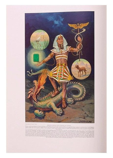 Книга XL. Секретное обучение All Ages (9783836594462) Taschen (364654413)