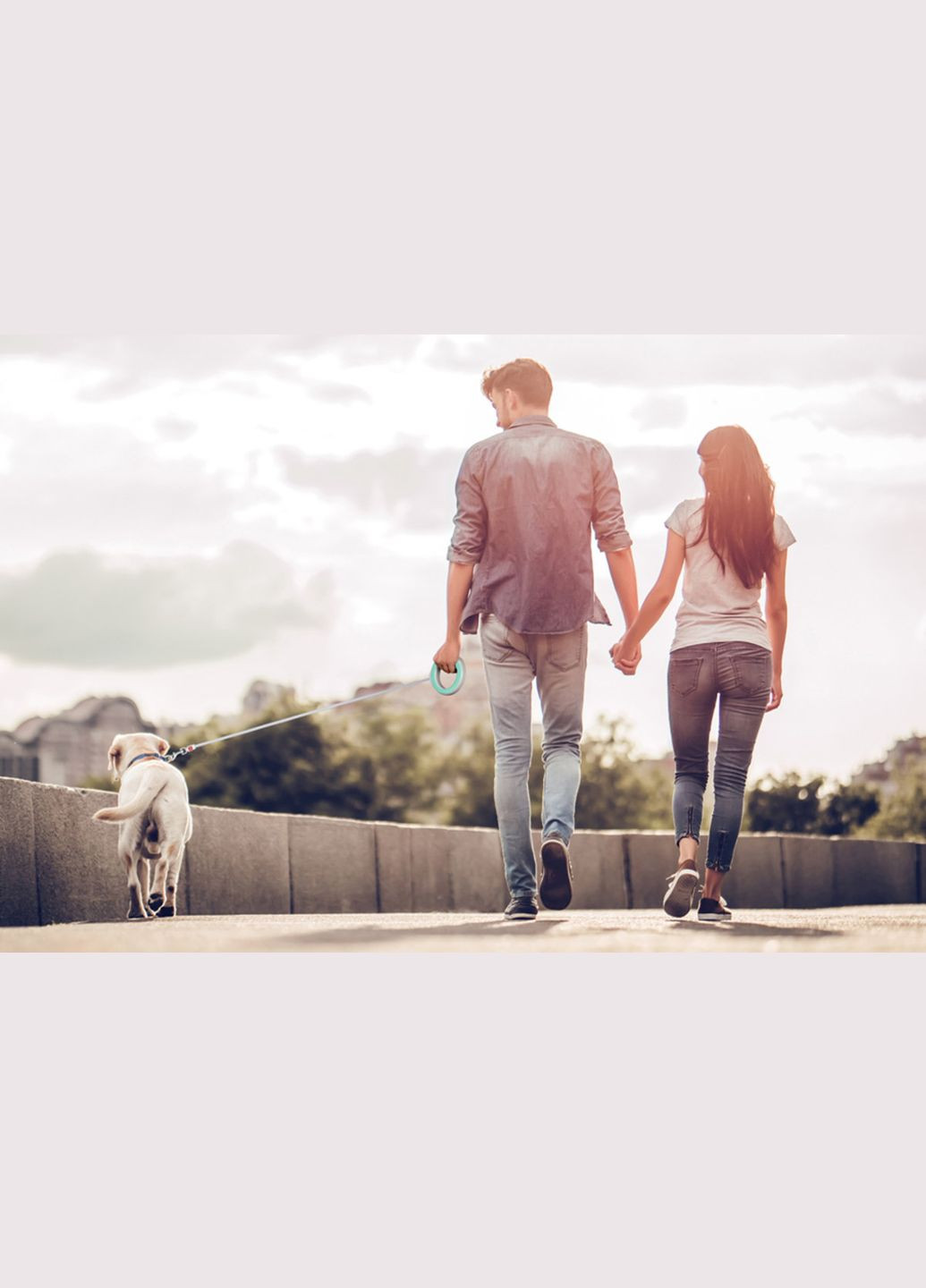 Поводок-рулетка для собак R-leash, круглая, XS-M, до 40 кг, 2,9 м, светоотражающая лента салатовый WAUDOG (322328031)