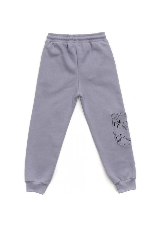Спортивный костюм на флисе (16794-116G-gray) Toontoy (300857495)