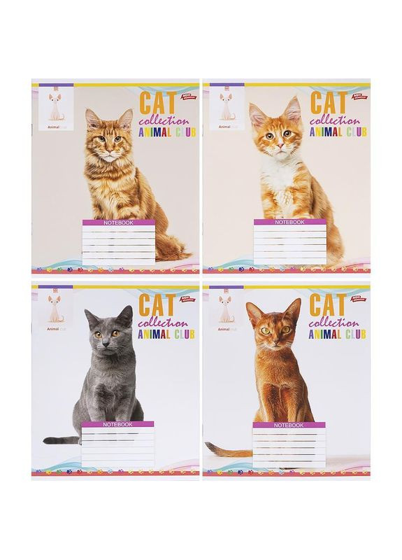 Зошит 24 арк. лінія "МРІЇ" / Cat Мрії Збуваються (342416708)