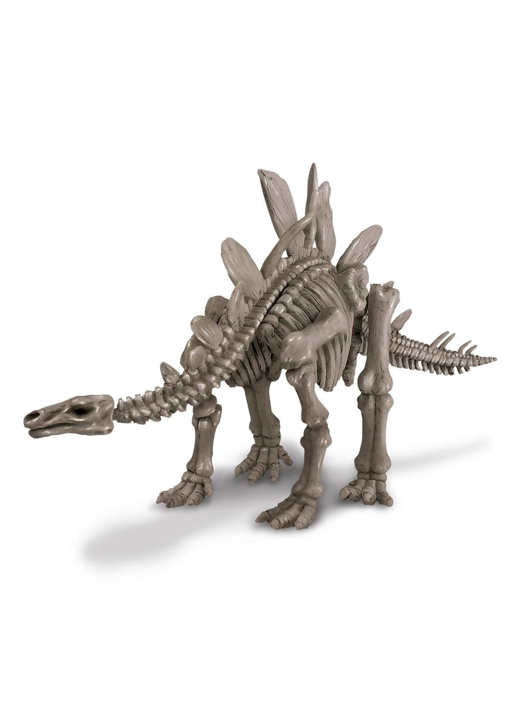 Набор для раскопок Скелет стегозавра (00-03229) 4M (339781152)