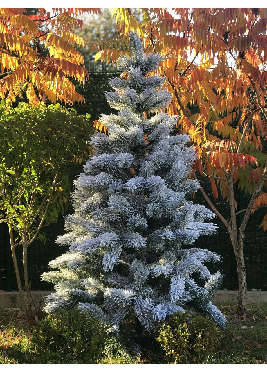 Ялинка штучна пишна SGH Сосна 100% лита 180 см засніжена HVOYA (366963926)