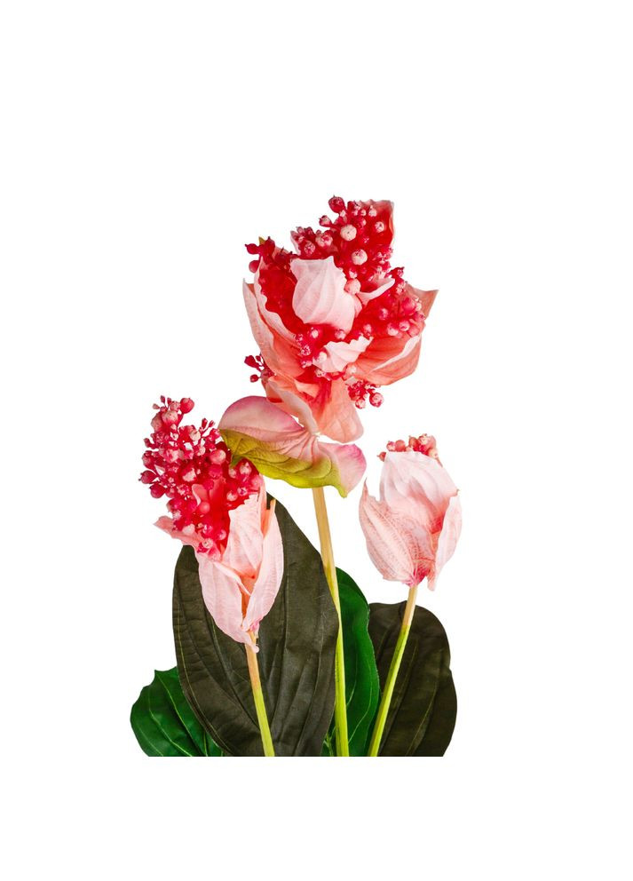 Медініла рожева, 120 см ELISEY (333986417)