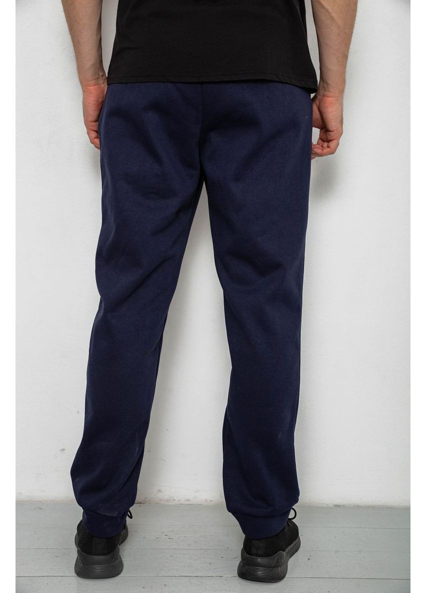 Синие спортивные, кэжуал демисезонные брюки Ager