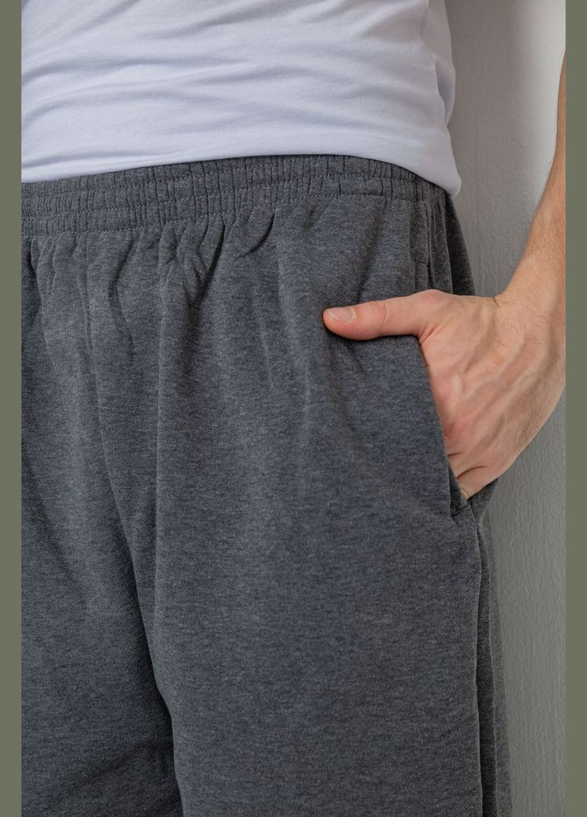 Серые демисезонные брюки Ager