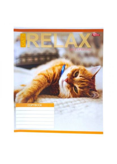 Тетрадь цветная 24 листа Мечты Сбываются 16 штук в упаковке для школы ProDobro (367092912)