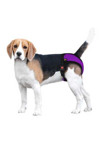 Труси гігієнічні для собак Mesh, розмір M (середні породи) фіолетовий 673107/Т BronzeDog (266274778)