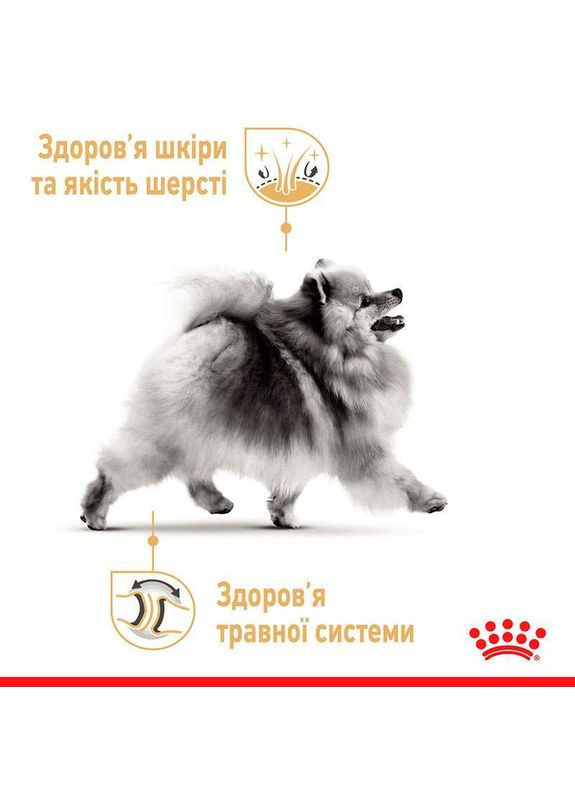 Сухий корм Pomeranian Adult для дорослих собак породи Померанський шпиц 0,5 кг Royal Canin (290186984)