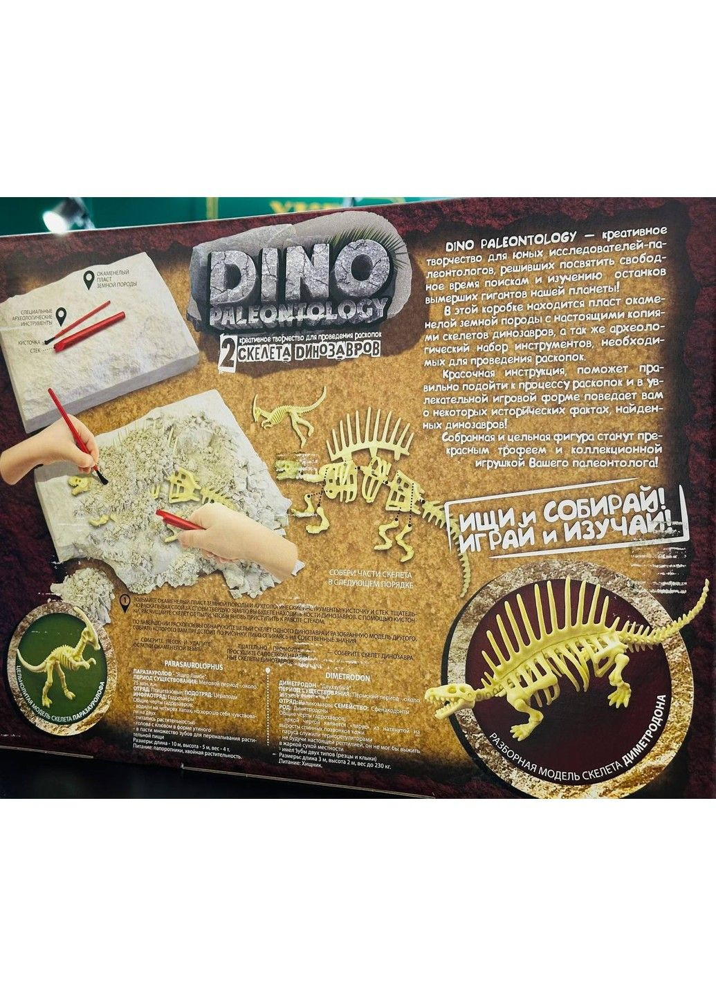 Набір для проведення розкопок "DINO PALEONTOLOGY" Danko Toys (322503761)