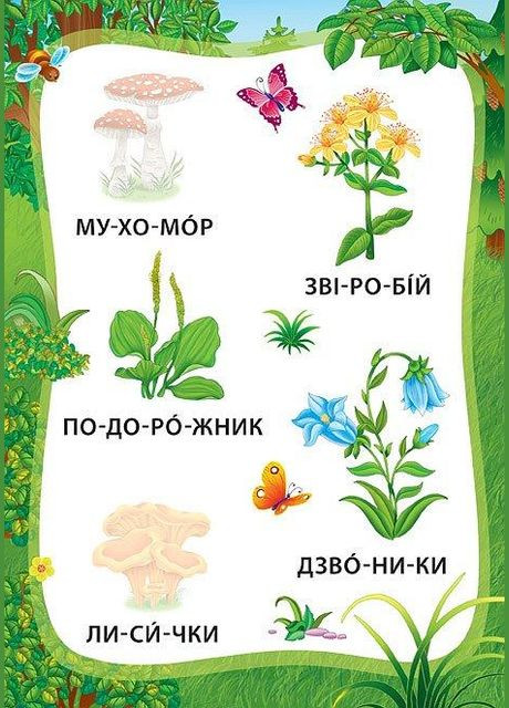 Я читаю по складах. Пригоди в лісі. Книжка з наліпками УЛА (316123749)