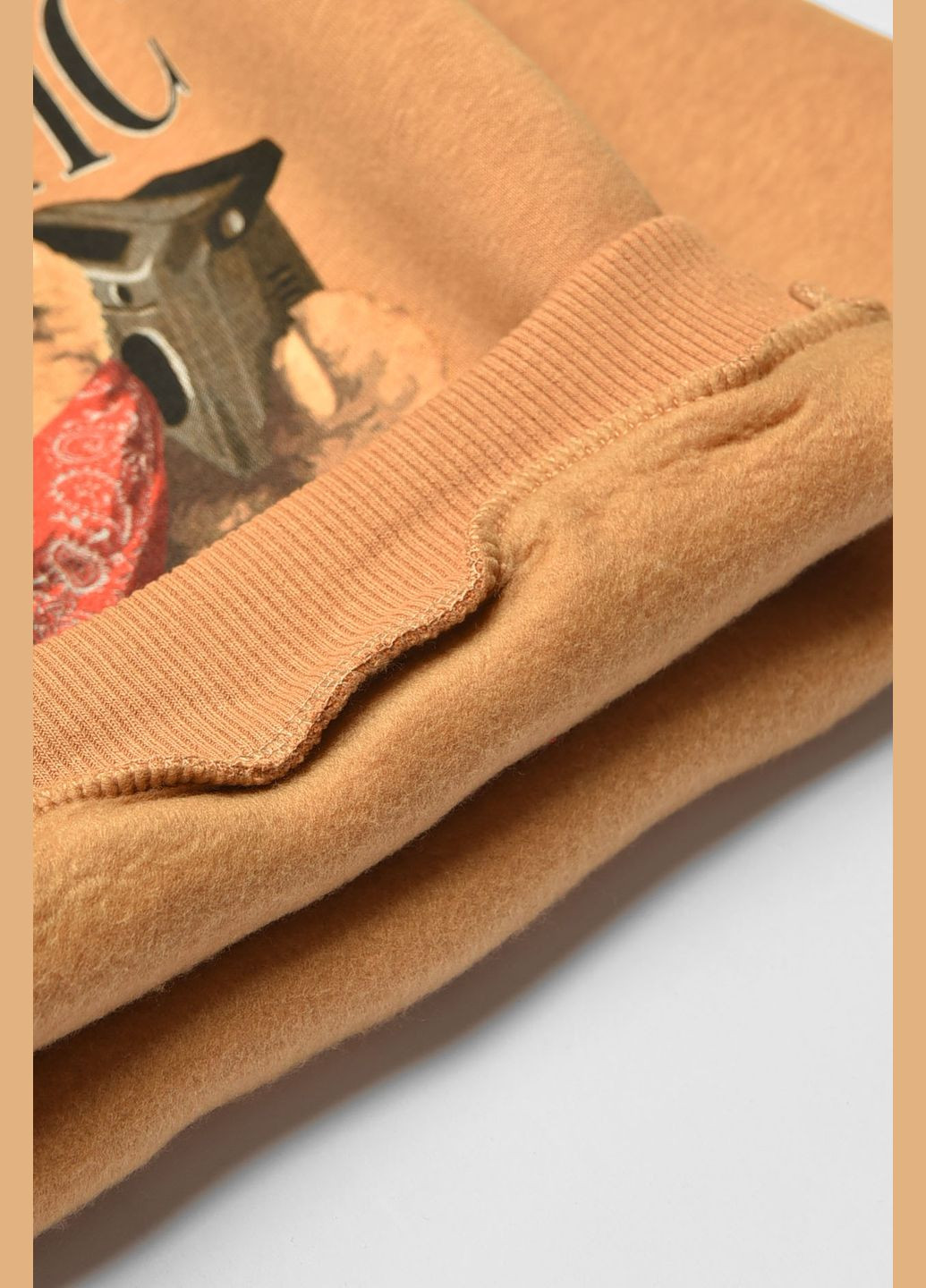 Світло-коричневий світшот дитячий зимовий на флісі світло-коричневого кольору Let's Shop абстрактний без декору (338370695)