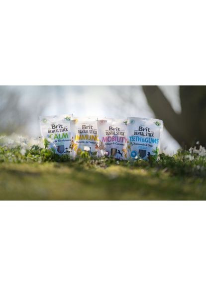 Лакомство для собак Brit Dental Stick Immuno для крепкого иммунитета, пробиотики и корица, 7 шт, 251 г (*) Brit Care (322591555)