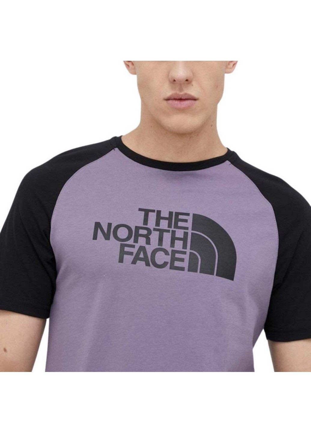 Фиолетовая футболка north face raglan ea nf0a37fvn141 The North Face