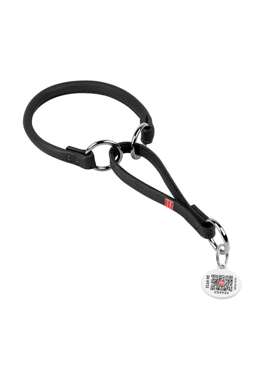 Ошейник-удавка для собак кожаный Soft с QR паспортом, круглый, Д 6 мм, Дл 21-30 см WAUDOG (279562502)