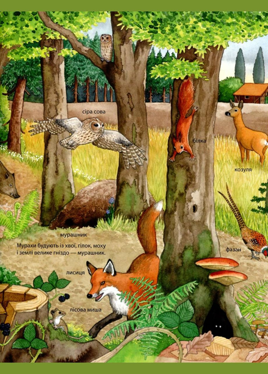 Моя первая рисованная энциклопедия. Животные РАНОК (316384343)