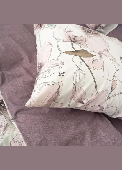 Комплект постільної білизни двоспальний ранфорс 24303 100% бавовна Viluta (334303204)