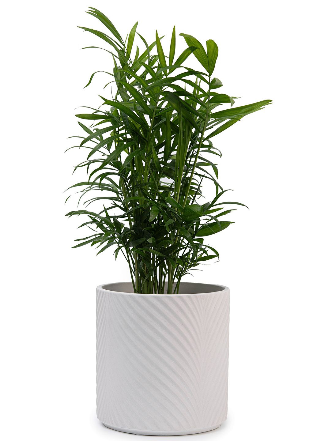 Кашпо для цветов elemi Листок 16 см керамическое 2,3 л белое Мамин Посуд (336213681)