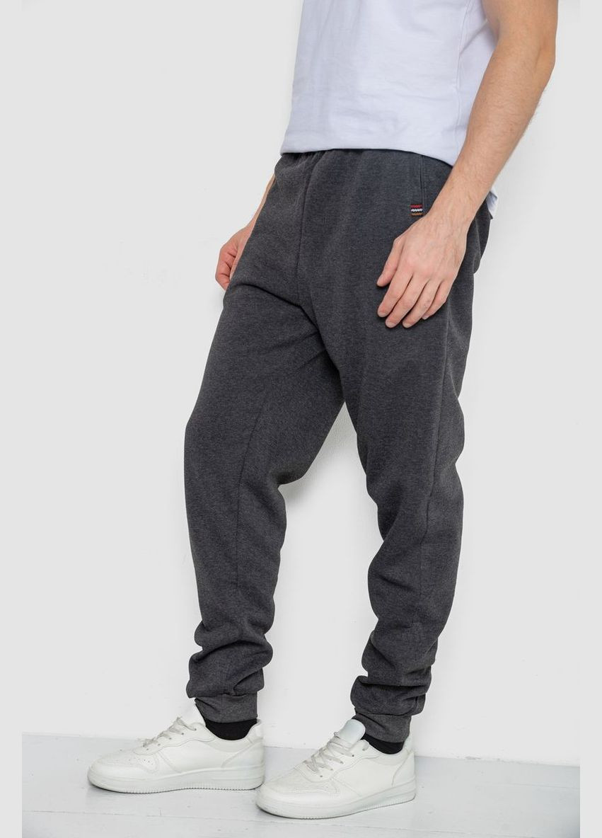 Темно-серые спортивные, кэжуал зимние брюки Ager