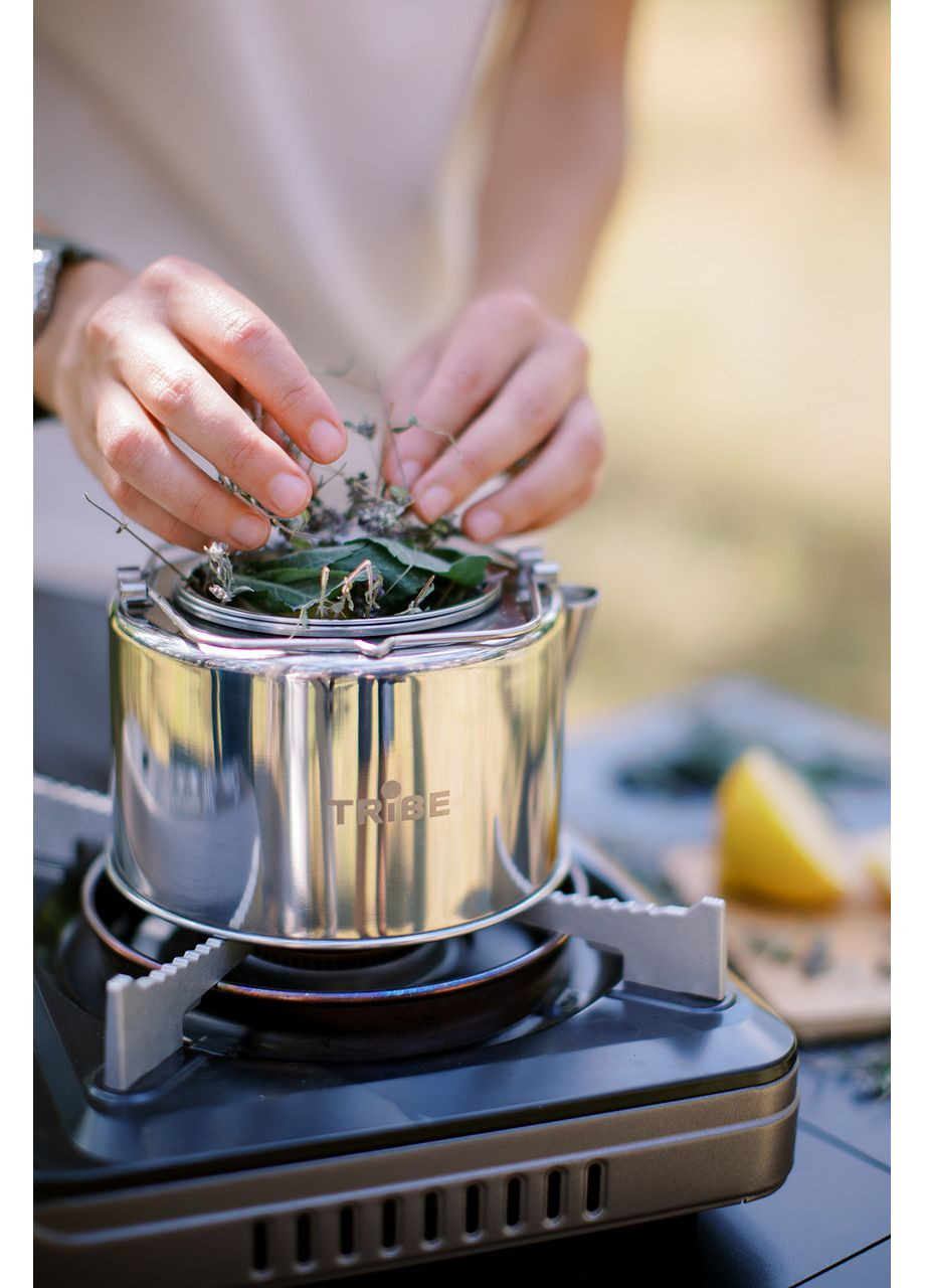 Чайник Kettle 1,2 л стальной T-FI-0010-metal Tribe (368703568)