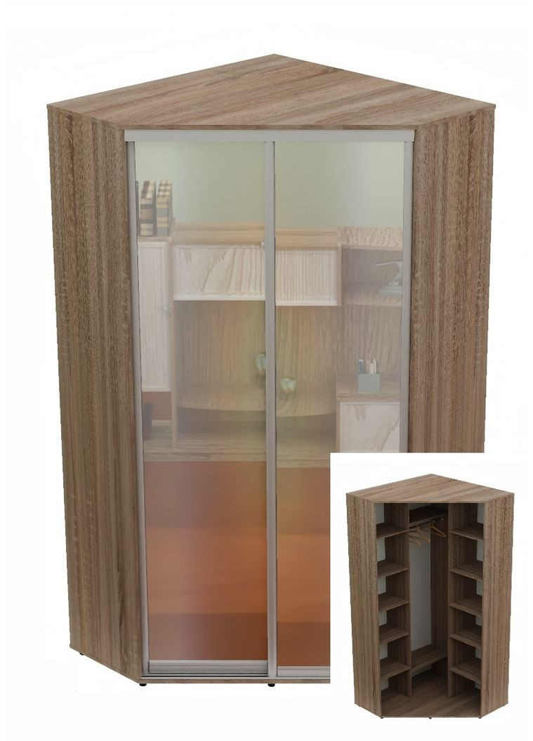 Шафа-купе дводверна 110*110*220 см Дуб Сонома трюфель 2 двері Дзеркало Кут-1 Алекса (360453614)