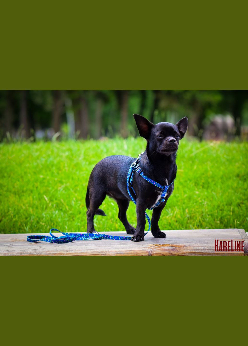 Шлей из нейлона с узором "UFO" и пластиковой пряжкой 15 мм А:350-480 мм, В:400-570 мм Kareline (339075146)