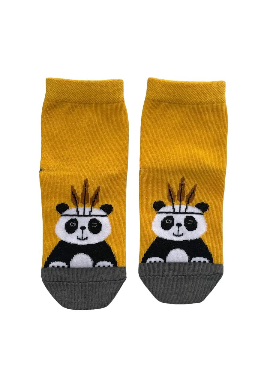 Шкарпетки дитячі "Панда" з індійської бавовни 413010 moi FAINI (315483594)