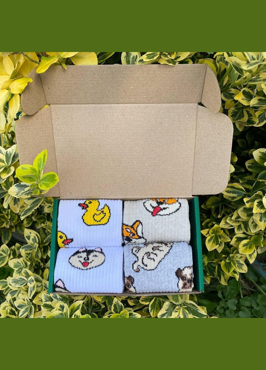 Комбіновані бокс жіночих високих шкарпеток 36-41 на 4 пари весна-осінь Vakko (308336869)