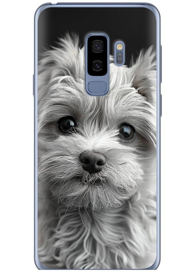 2D пластиковый чехол 'Мальтипу на чорном фоне' для Endorphone Samsung Galaxy S9 Plus (297662104)