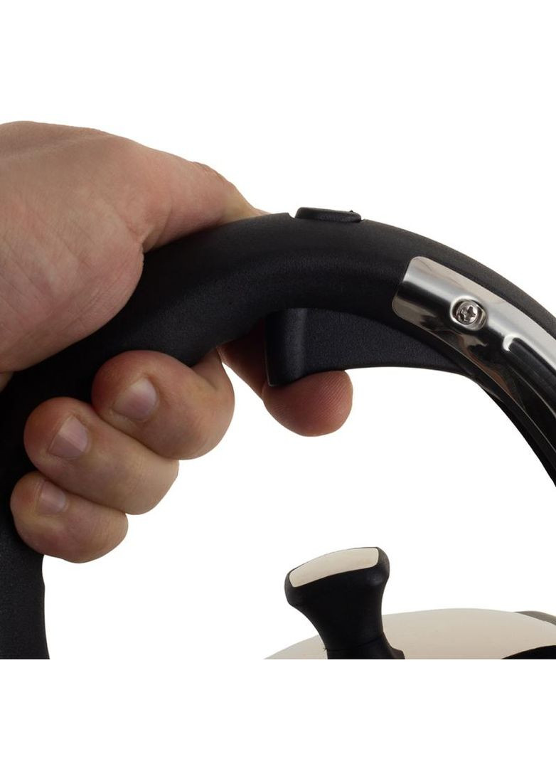 Чайник Augsburg 3.2л чорний зі свистком для кухні з нержавіючої сталі індукційний Ofenbach (368979922)