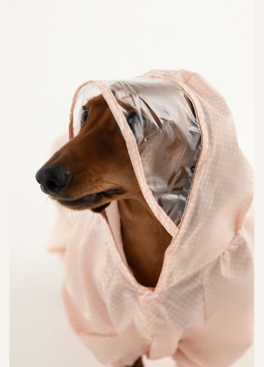 Комбинезон для животных KM52621 Розовый (2002014440528D) shop (2002014440528) KUMAOCHONGWUYONGPIN (363829761)