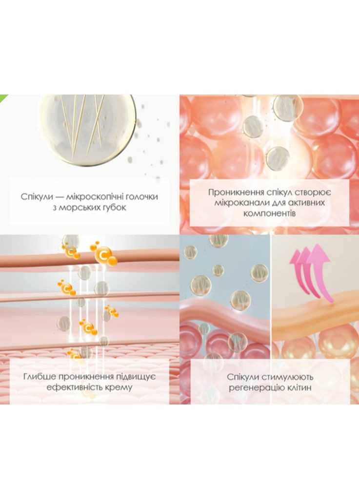 RoBeauty Пептидный крем с микроиглами от глубоких морщин Ro beauty 50 мл — Крем, Украина (361072146)