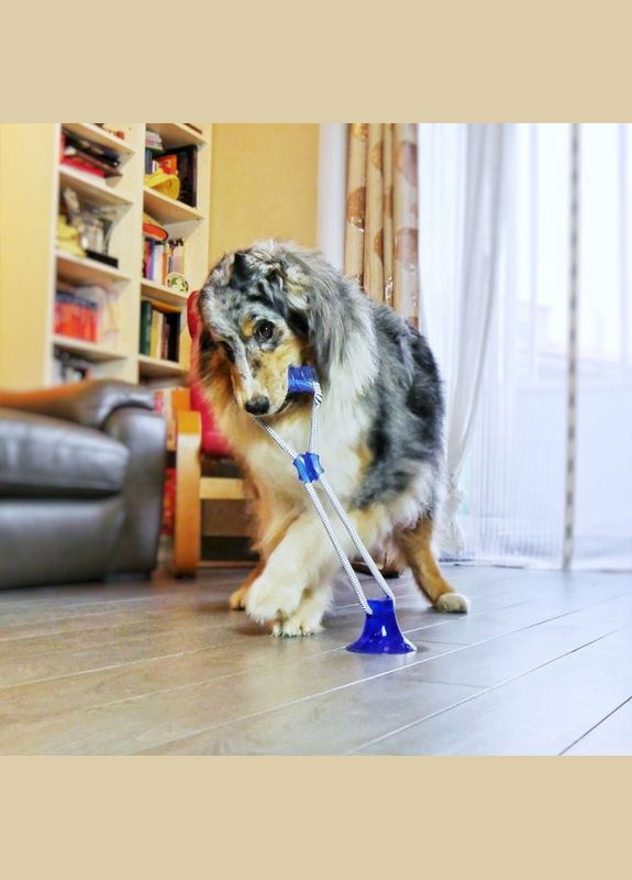 Игрушка для собак Pull&Play Цилиндр на веревке с присоской красный, 36х13 см (*) Croci (315438283)