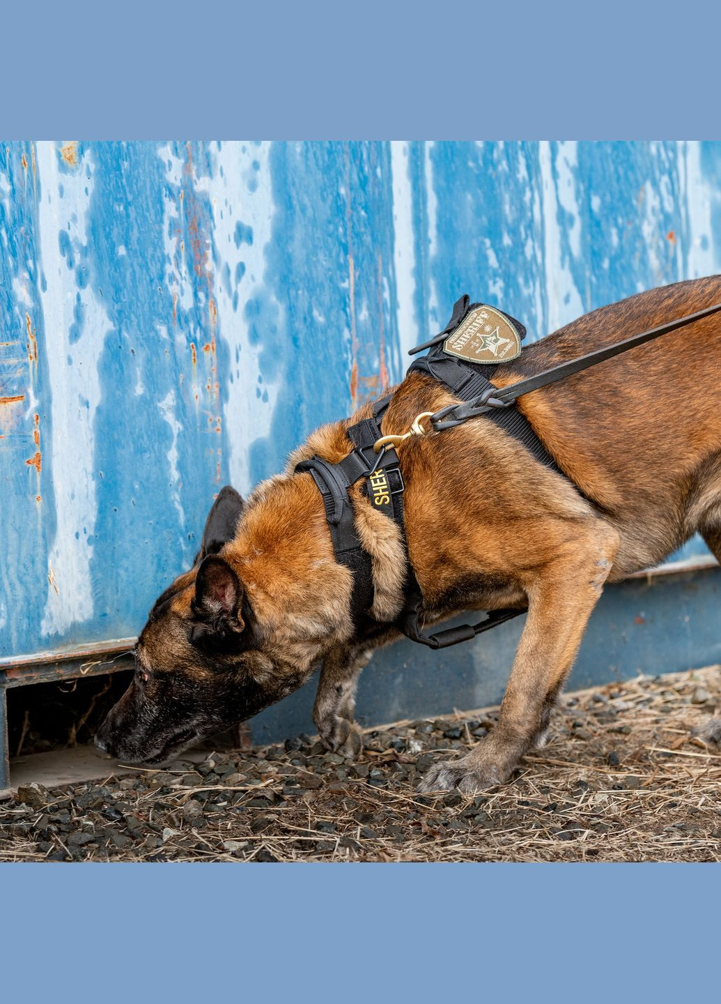 Шлея для собаки Aros K9 Harness Black 5.11 Tactical (315878784)