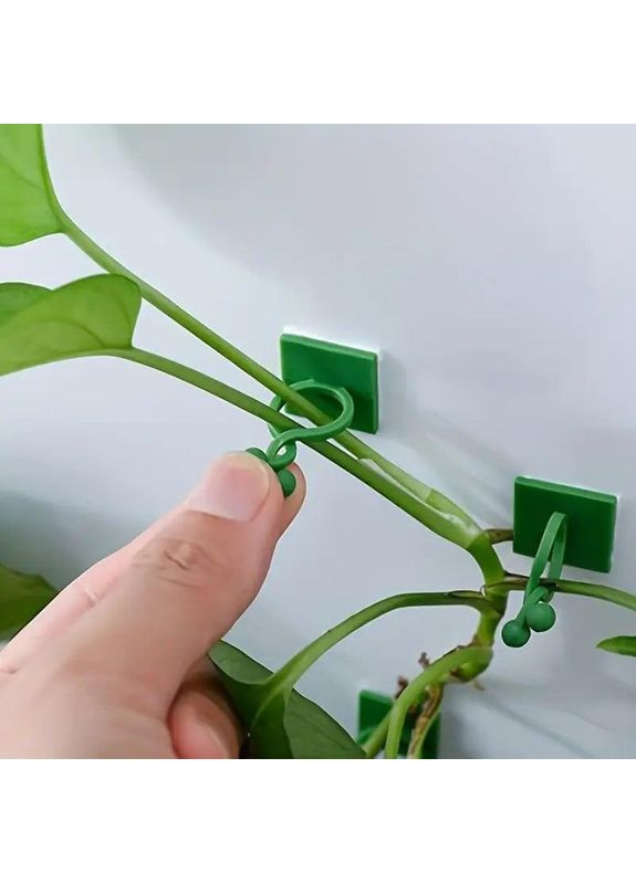 Клипсы для подвязки растений 20 шт настенные, поддержка для растений No Brand (370290275)